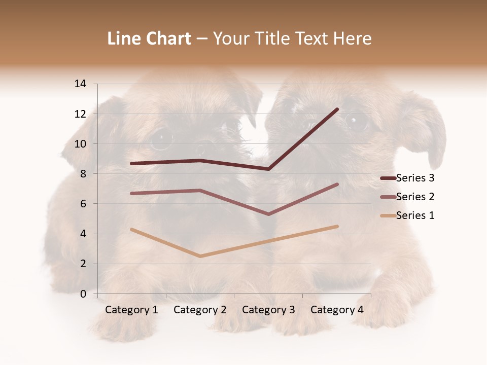 Griffon Puppy Isolated On White PowerPoint Template