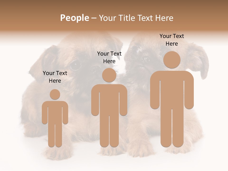 Griffon Puppy Isolated On White PowerPoint Template