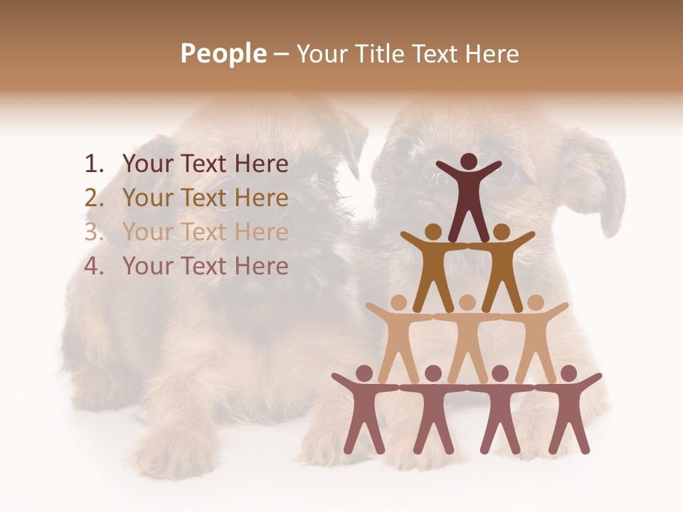 Griffon Puppy Isolated On White PowerPoint Template