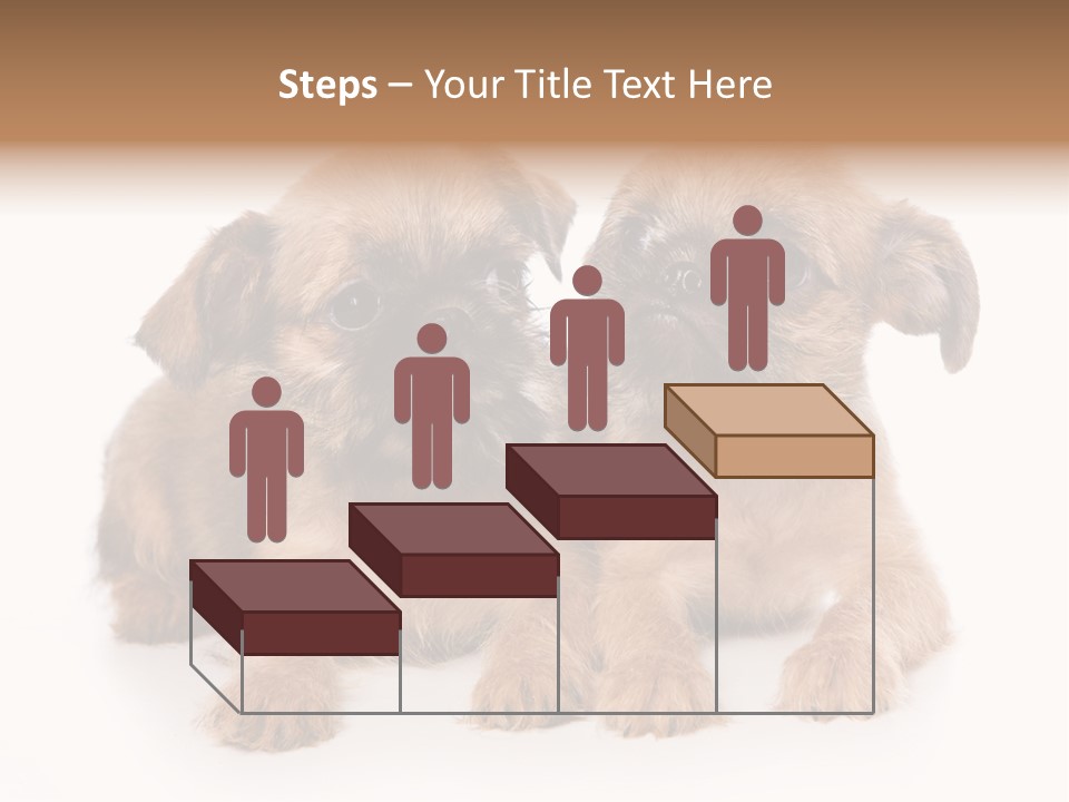 Griffon Puppy Isolated On White PowerPoint Template