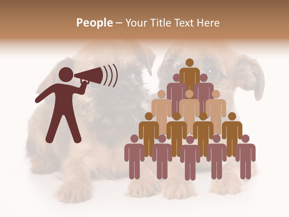 Griffon Puppy Isolated On White PowerPoint Template