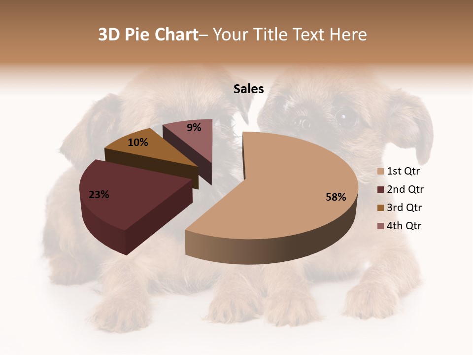 Griffon Puppy Isolated On White PowerPoint Template