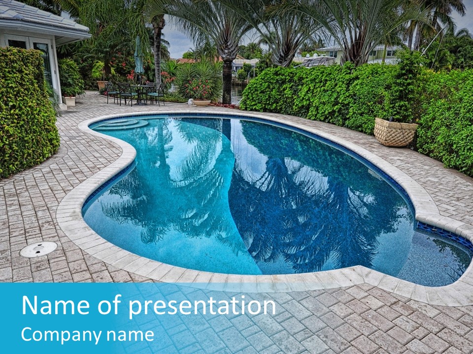 Palms Reflecting On A Swimming Pool PowerPoint Template