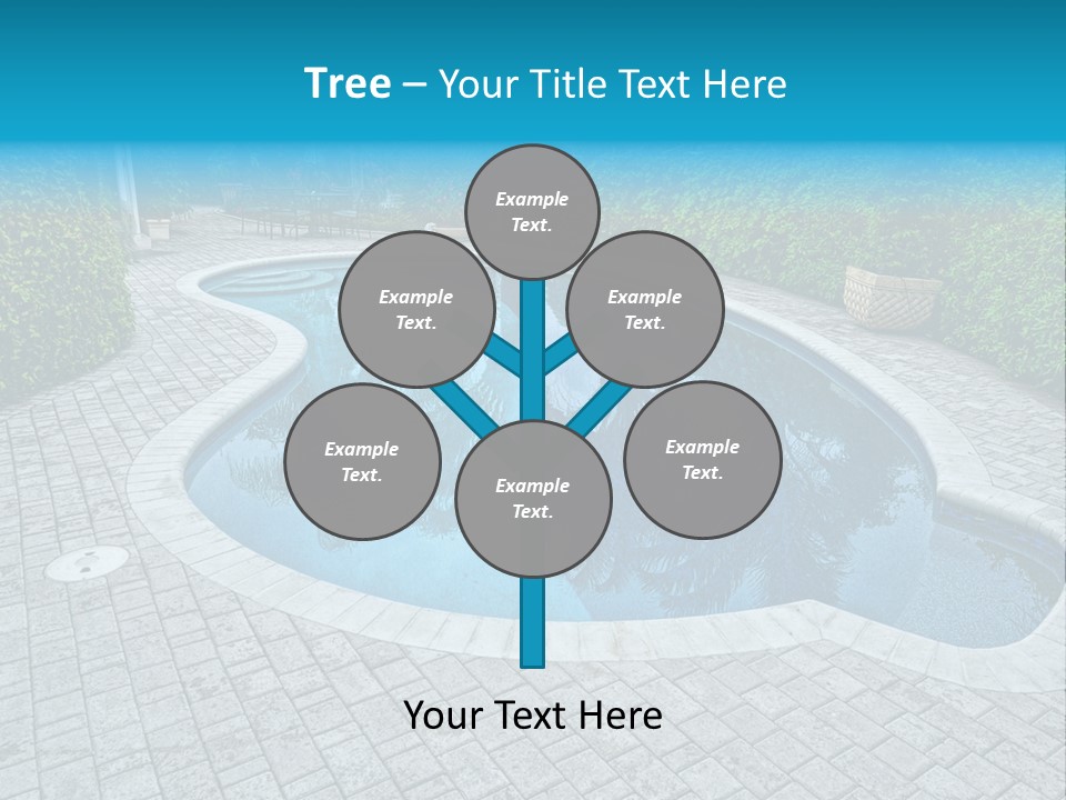 Palms Reflecting On A Swimming Pool PowerPoint Template