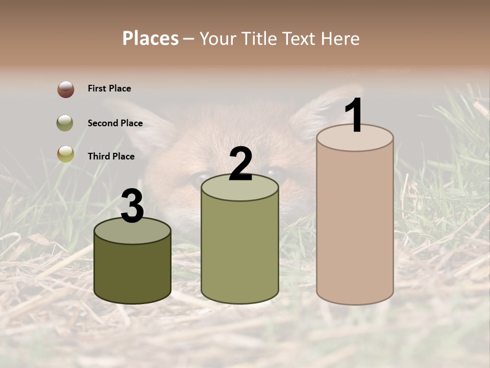 Red Fox In British Countryside PowerPoint Template