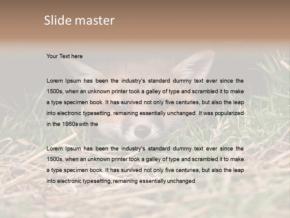 Red Fox In British Countryside PowerPoint Template