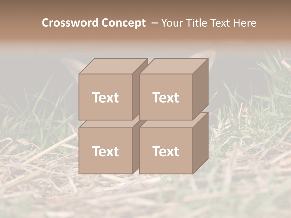 Red Fox In British Countryside PowerPoint Template