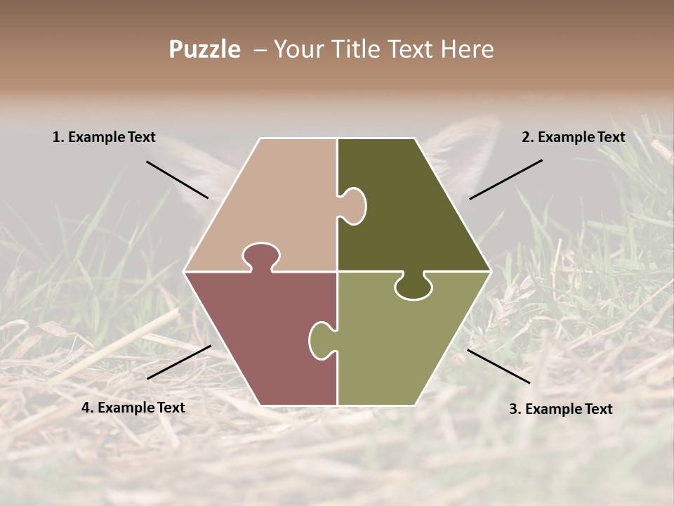 Red Fox In British Countryside PowerPoint Template