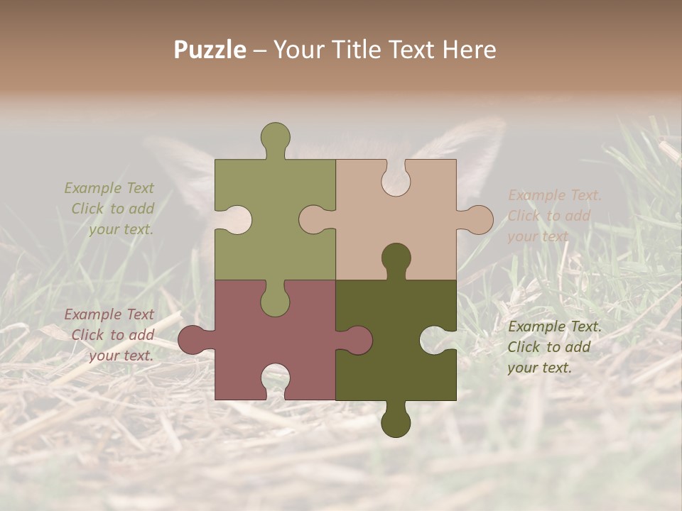 Red Fox In British Countryside PowerPoint Template