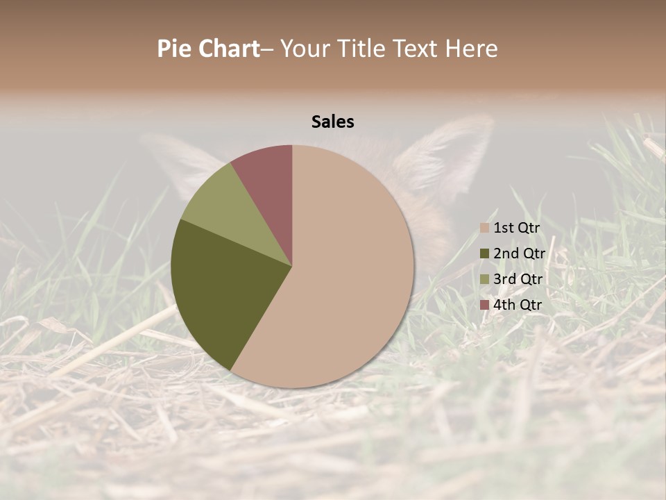 Red Fox In British Countryside PowerPoint Template