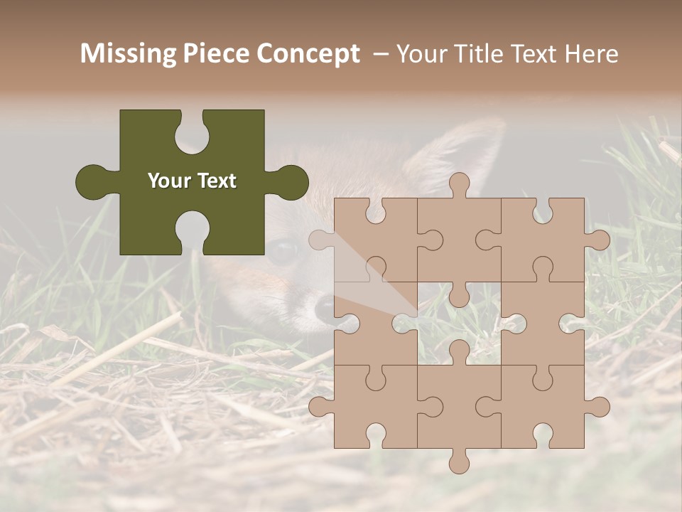 Red Fox In British Countryside PowerPoint Template