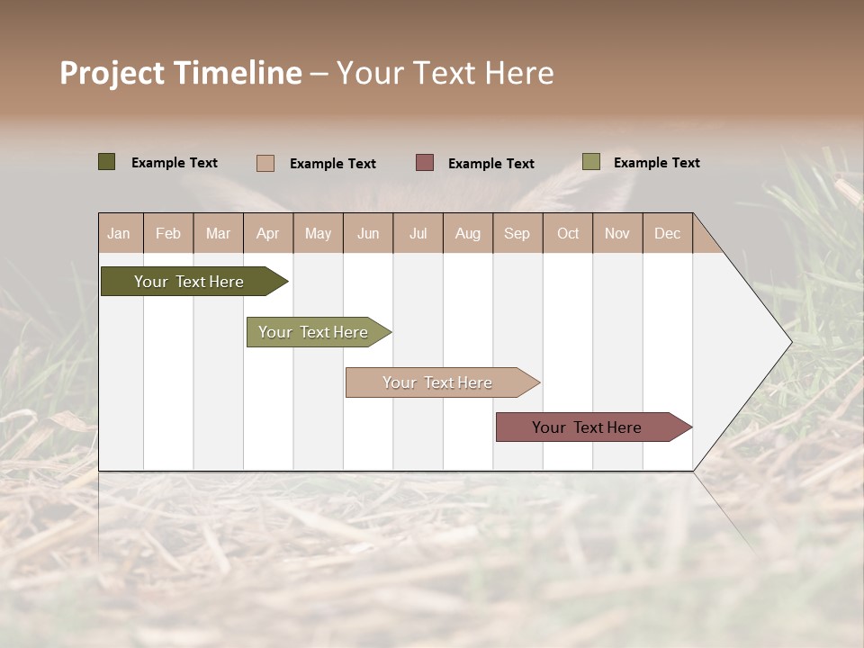 Red Fox In British Countryside PowerPoint Template