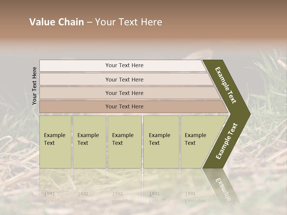 Red Fox In British Countryside PowerPoint Template