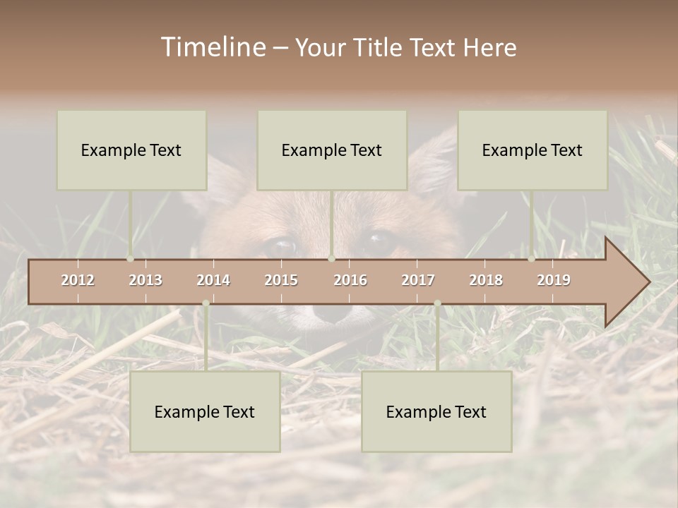 Red Fox In British Countryside PowerPoint Template