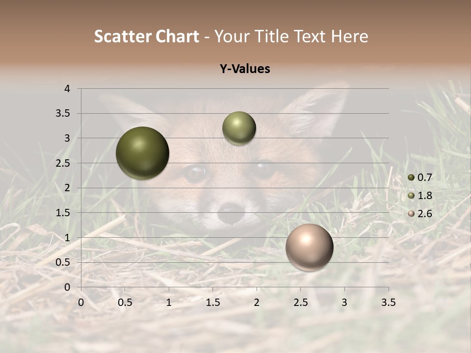 Red Fox In British Countryside PowerPoint Template