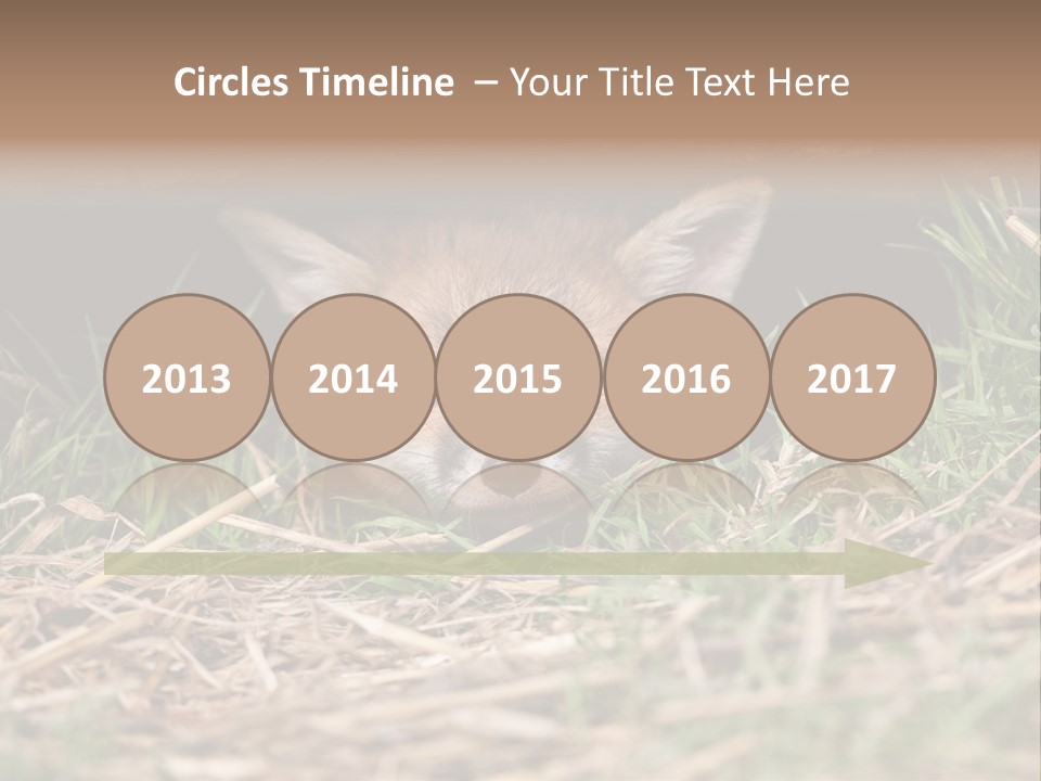 Red Fox In British Countryside PowerPoint Template