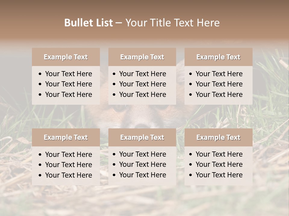 Red Fox In British Countryside PowerPoint Template
