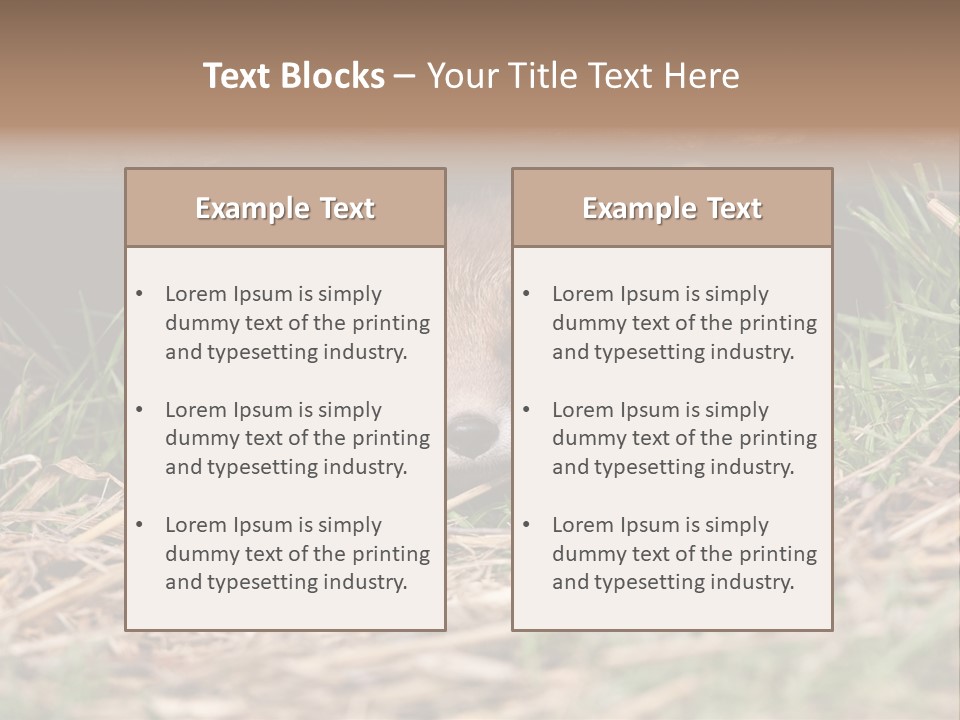 Red Fox In British Countryside PowerPoint Template