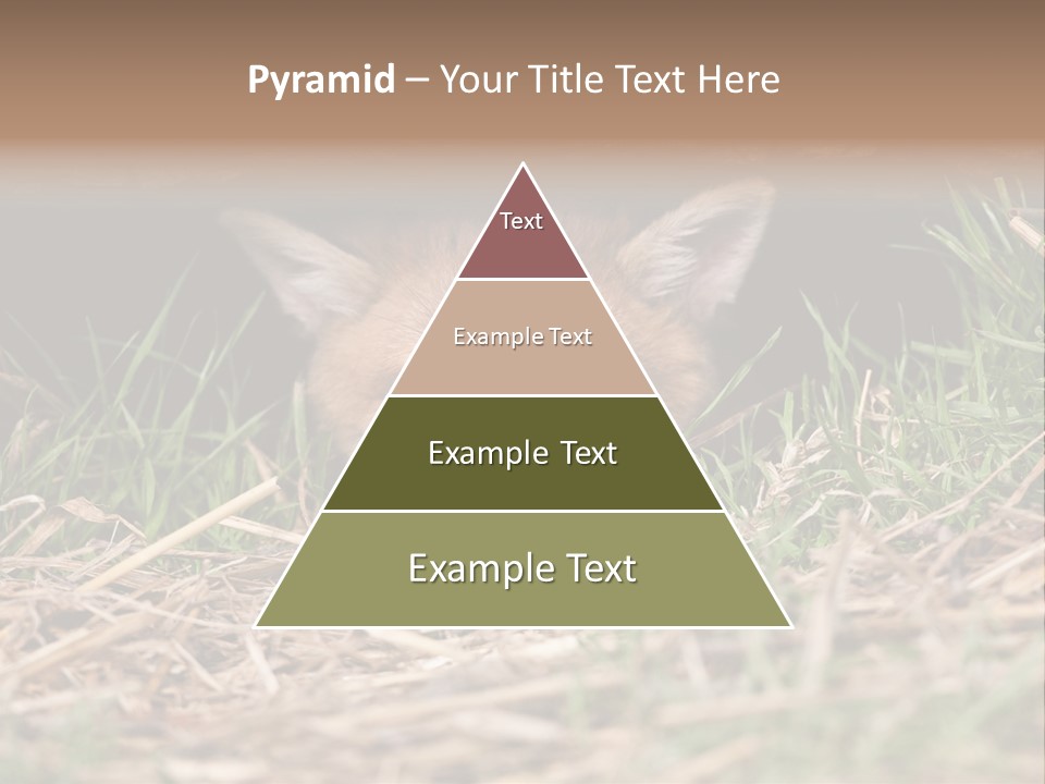 Red Fox In British Countryside PowerPoint Template