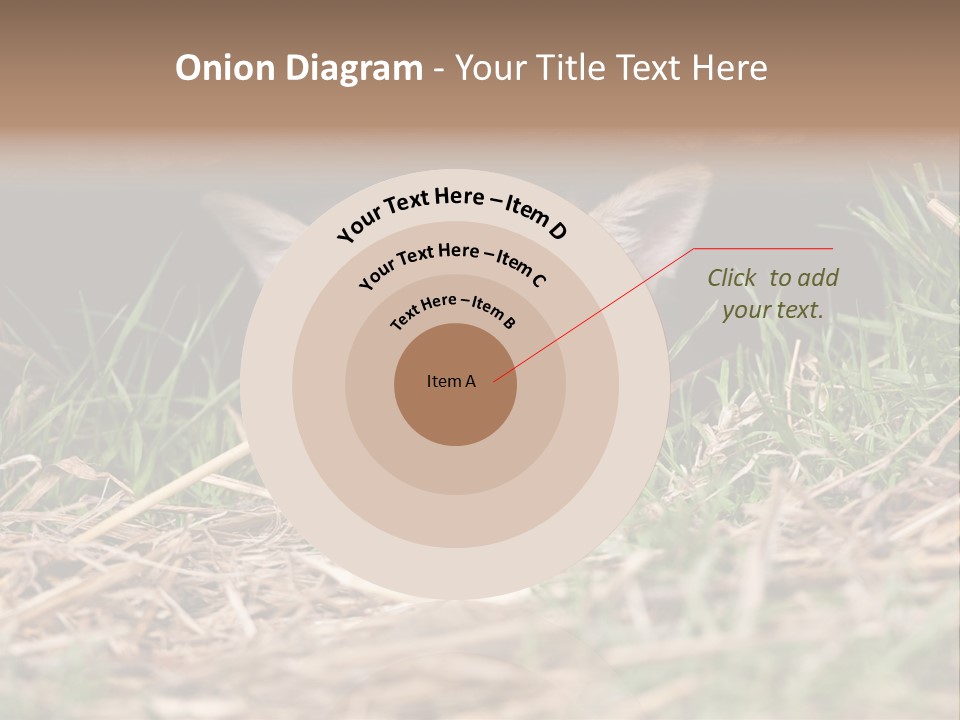 Red Fox In British Countryside PowerPoint Template