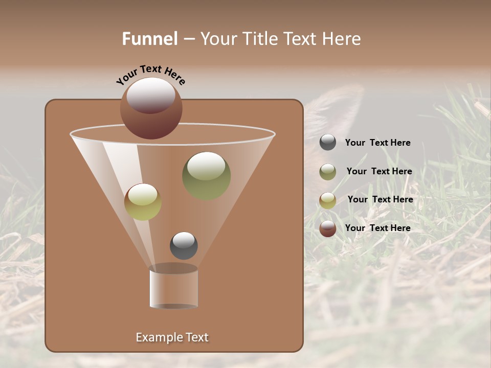 Red Fox In British Countryside PowerPoint Template