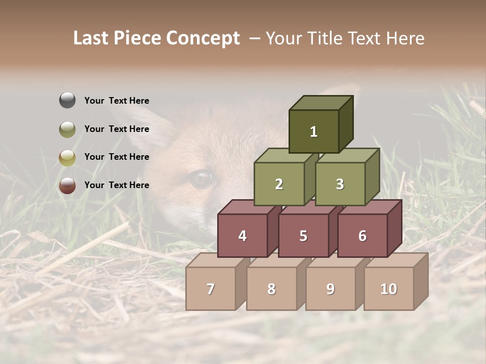 Red Fox In British Countryside PowerPoint Template
