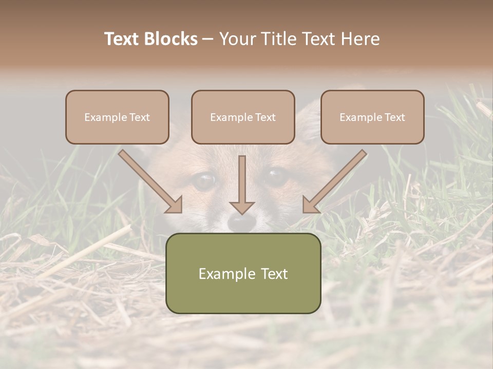 Red Fox In British Countryside PowerPoint Template