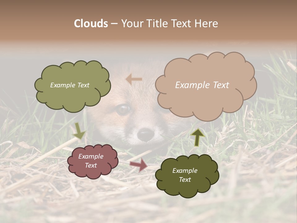 Red Fox In British Countryside PowerPoint Template