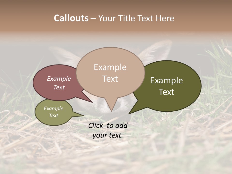Red Fox In British Countryside PowerPoint Template