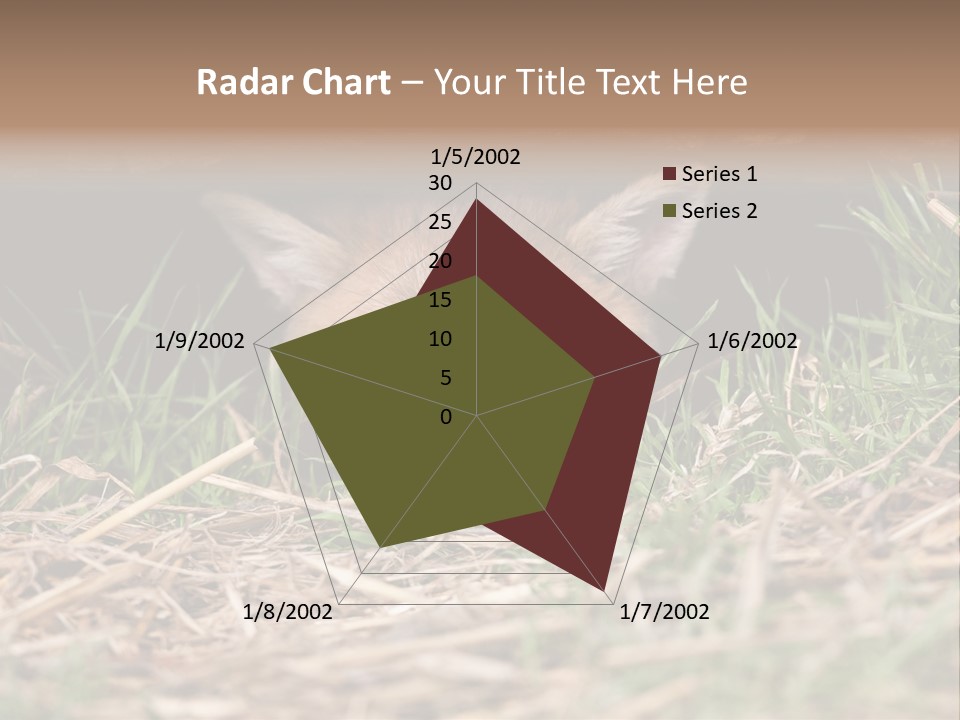 Red Fox In British Countryside PowerPoint Template