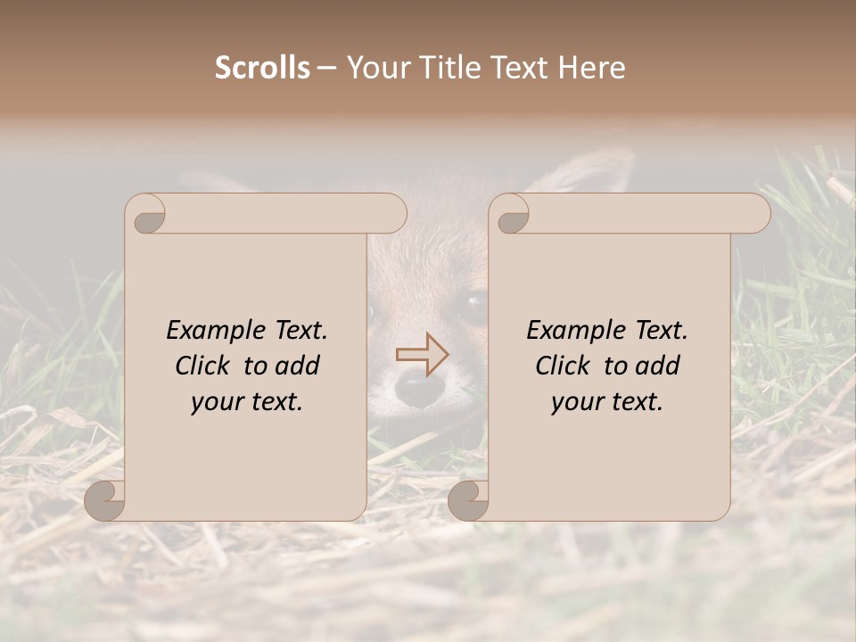 Red Fox In British Countryside PowerPoint Template
