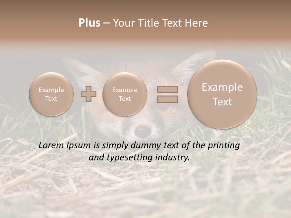 Red Fox In British Countryside PowerPoint Template