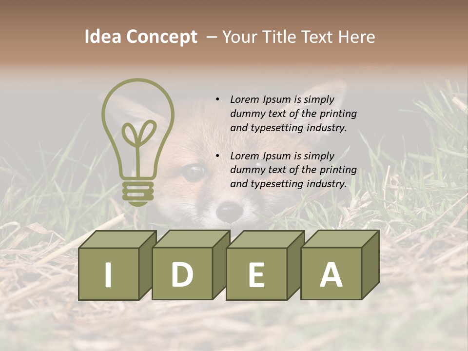 Red Fox In British Countryside PowerPoint Template