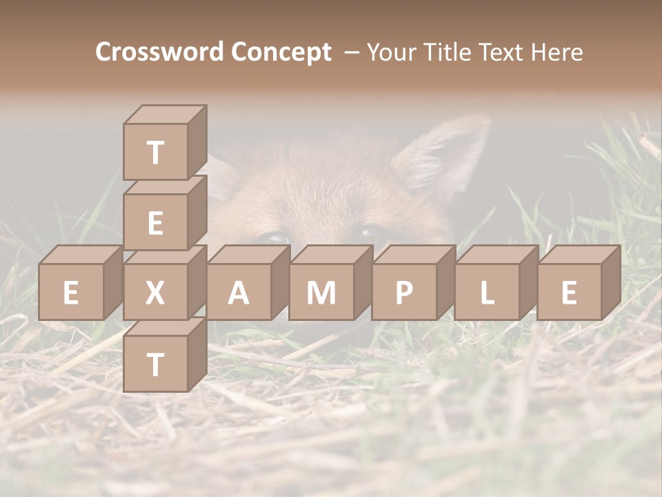 Red Fox In British Countryside PowerPoint Template