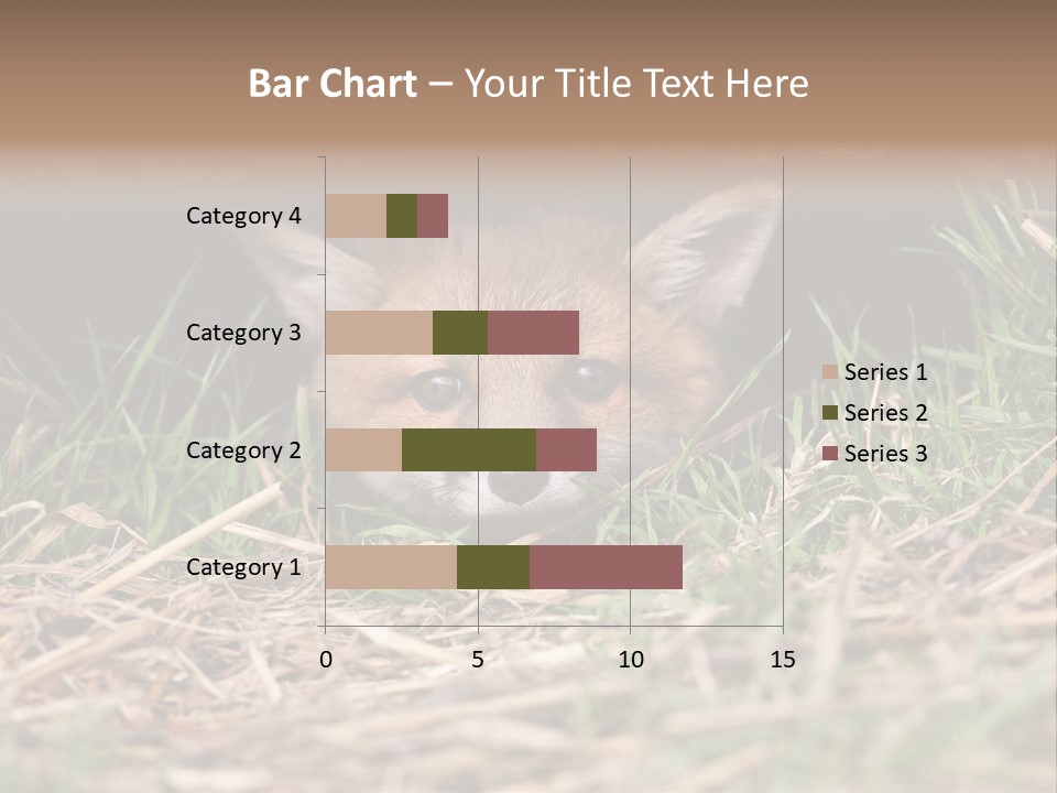 Red Fox In British Countryside PowerPoint Template
