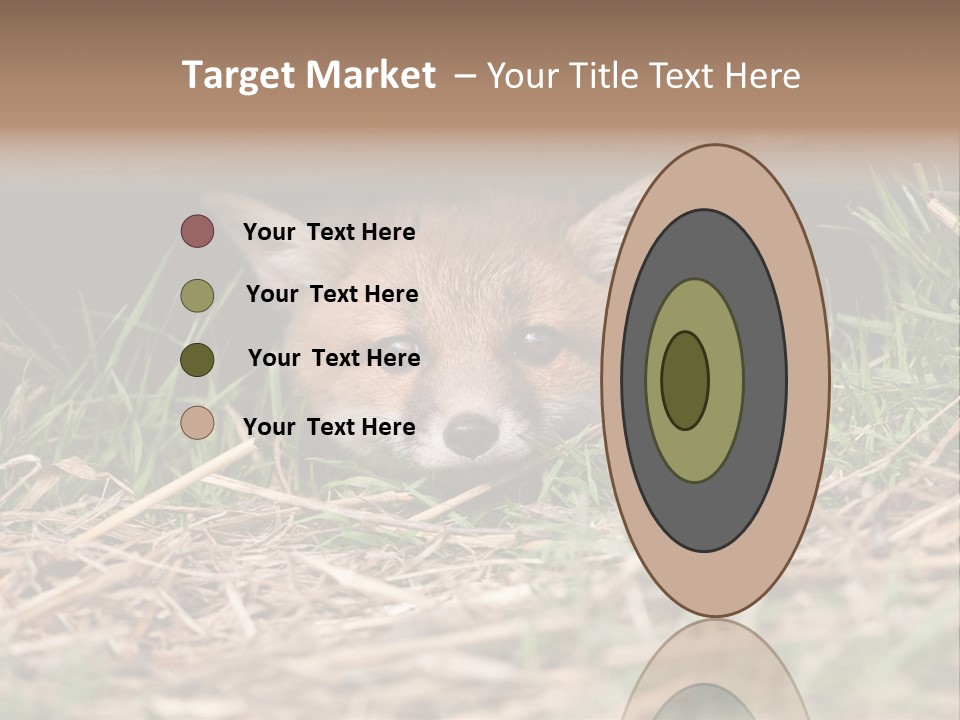 Red Fox In British Countryside PowerPoint Template