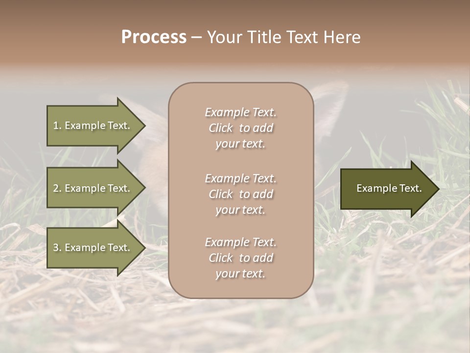 Red Fox In British Countryside PowerPoint Template