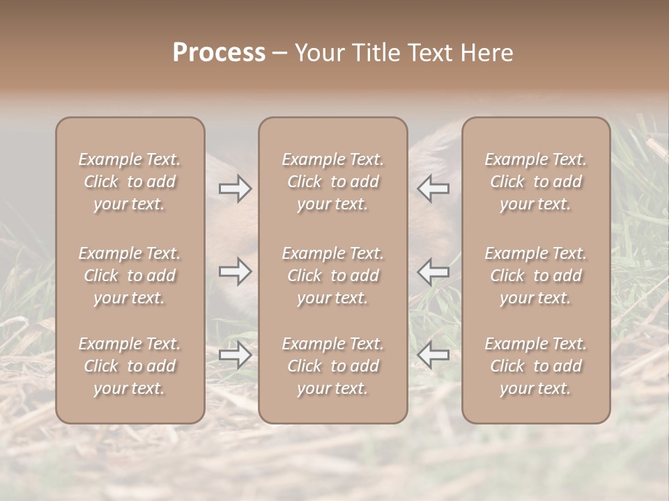 Red Fox In British Countryside PowerPoint Template