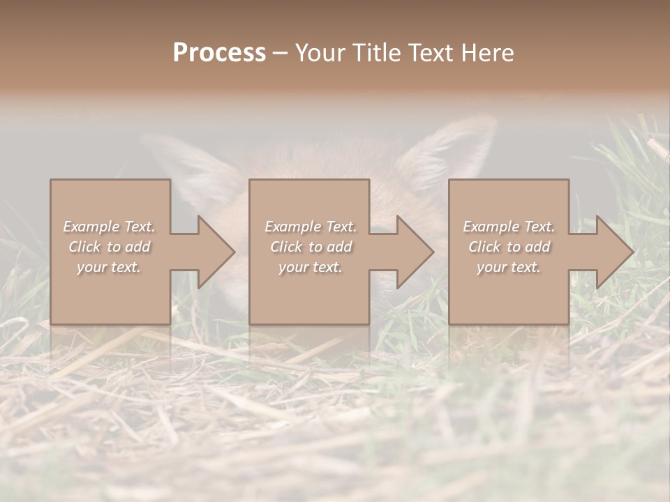 Red Fox In British Countryside PowerPoint Template