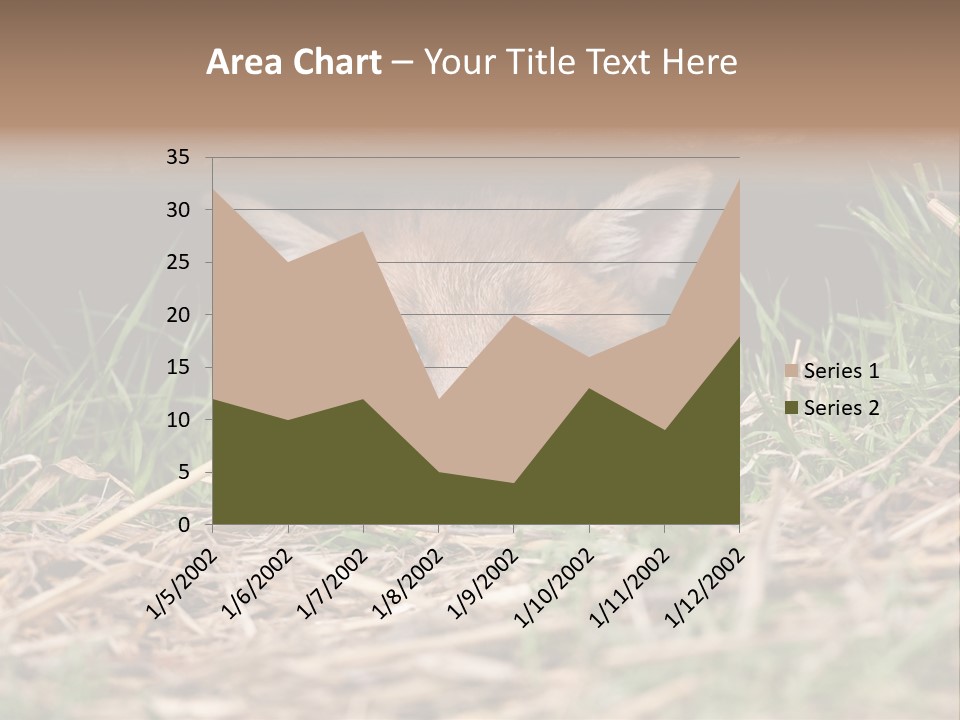 Red Fox In British Countryside PowerPoint Template