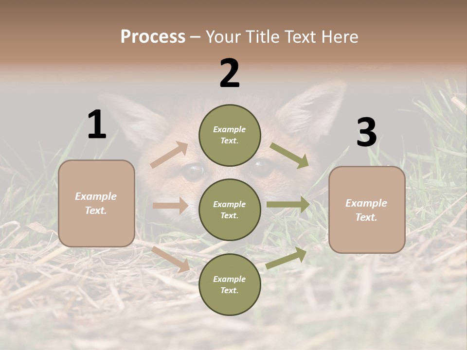 Red Fox In British Countryside PowerPoint Template
