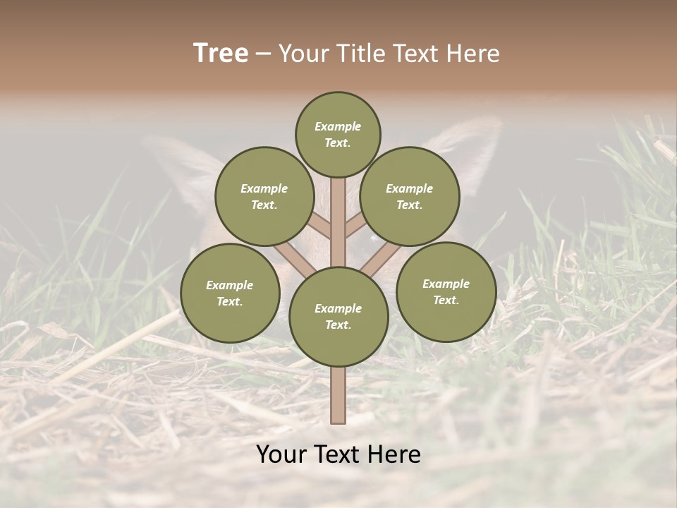 Red Fox In British Countryside PowerPoint Template