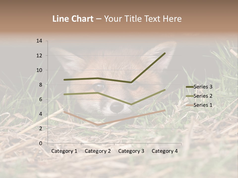 Red Fox In British Countryside PowerPoint Template