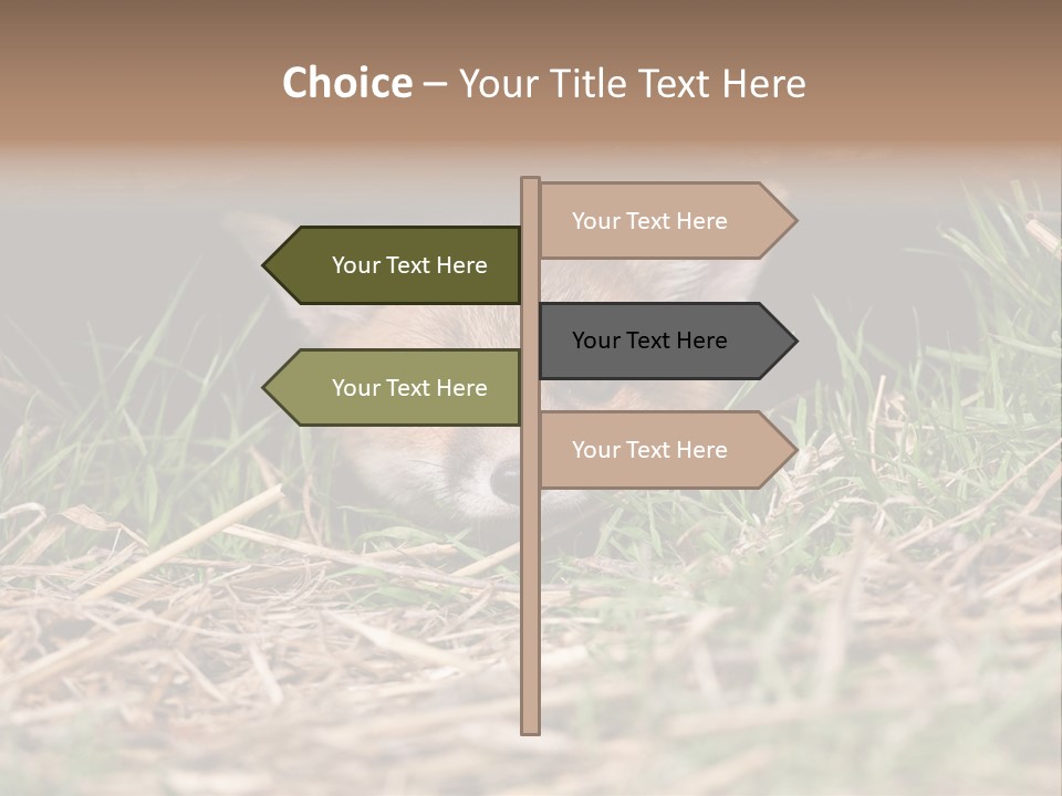 Red Fox In British Countryside PowerPoint Template