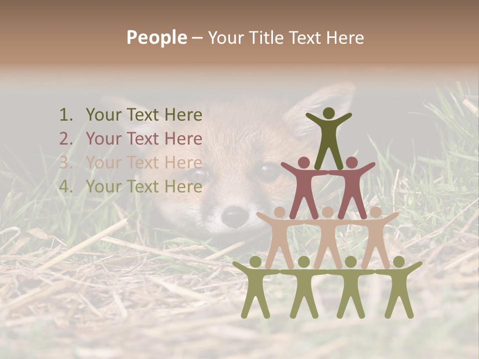 Red Fox In British Countryside PowerPoint Template