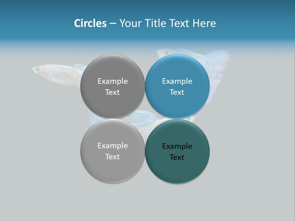 Swimming Guppy PowerPoint Template