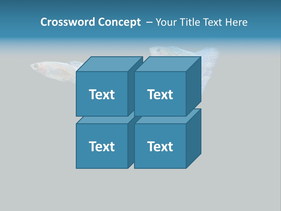 Swimming Guppy PowerPoint Template