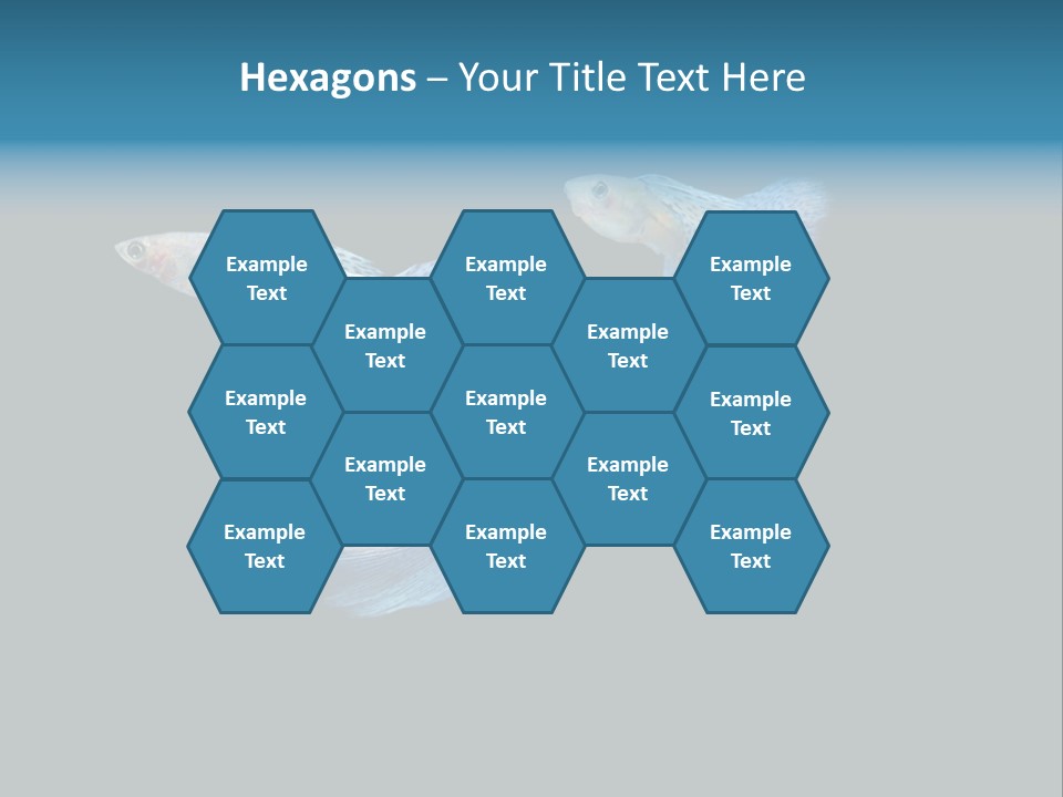 Swimming Guppy PowerPoint Template