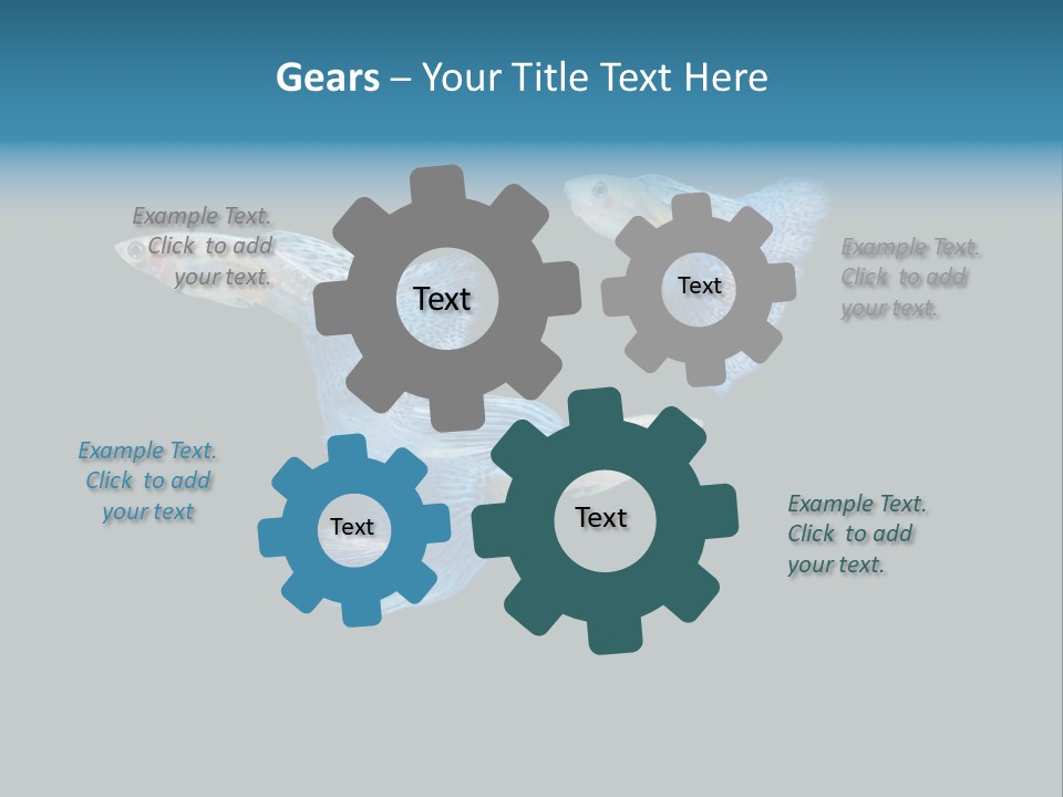 Swimming Guppy PowerPoint Template