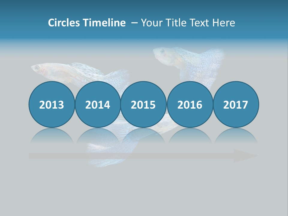 Swimming Guppy PowerPoint Template